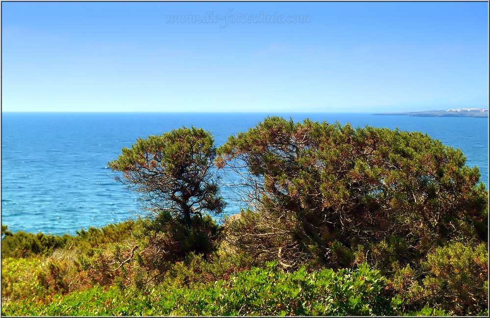 Namer_2014_003.jpg - Castell de sa Punta de n’Amer