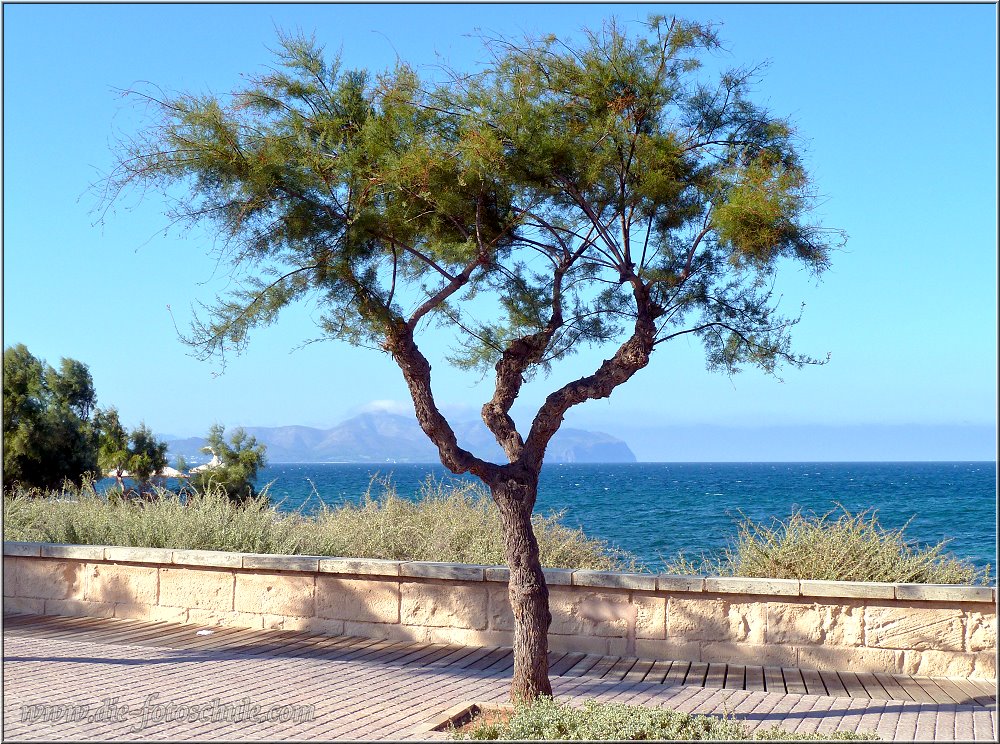 San_Baulo_2014_001.jpg - Zurück nach Can Picafort oder besser an die Südspitze des Ortes, da wo Son Baulo beginnt. Du kannst vom Norden in Can Picafort an der Promenade entlang bis zum südlichen Ende von Son Baulo laufen, was ich gerade abends häufig tat.