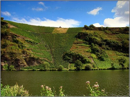 Mosel_Die_Fotoschule_049_kl