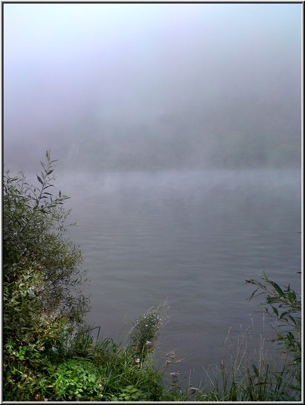 Mosel_Die_Fotoschule_001.jpg - Ein nebeliger September-Morgen an der Mosel.