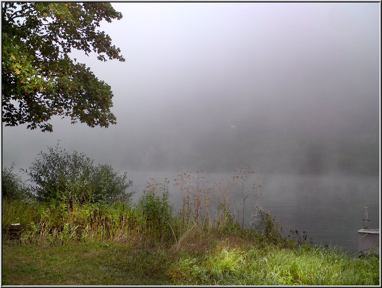 Mosel_Die_Fotoschule_002.jpg - Ein nebeliger September-Morgen an der Mosel. Die Sonne beginnt sich bereits durchzukämpfen.