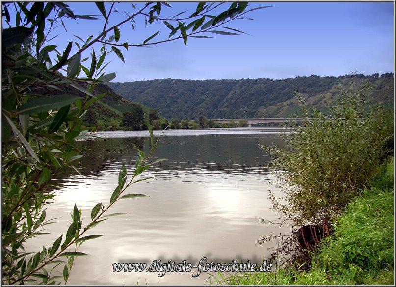 Mosel_Die_Fotoschule_015.jpg - So schön ist die Mosel bei Piesport