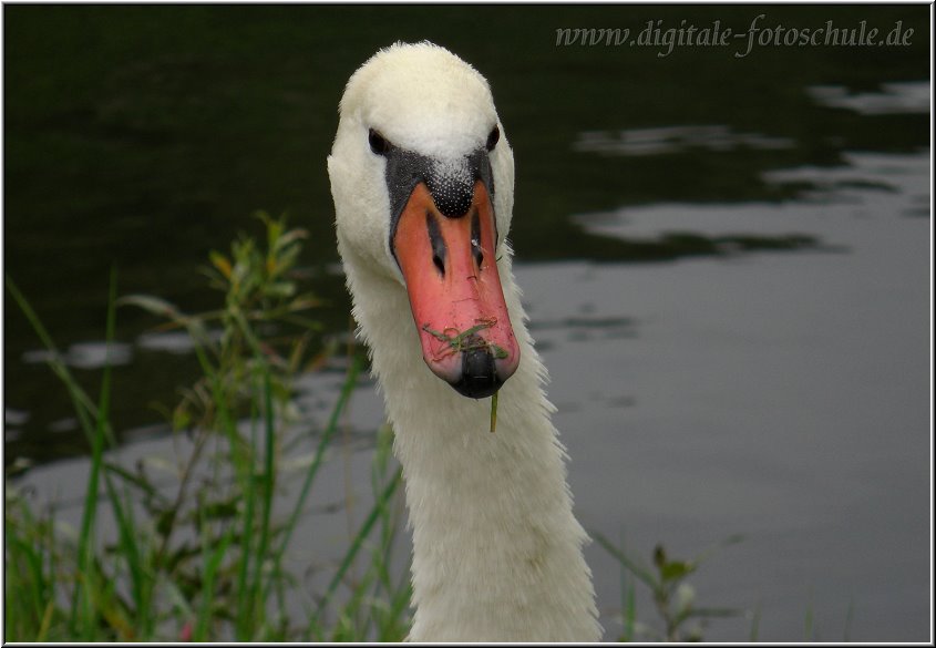 Mosel_Die_Fotoschule_017.jpg - Guckst Du