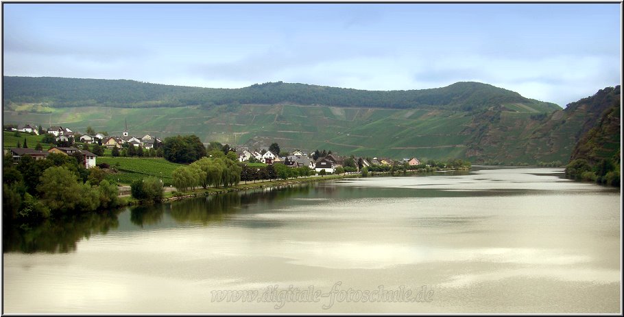 Mosel_Die_Fotoschule_020.jpg - So schön ist die Mosel bei Piesport