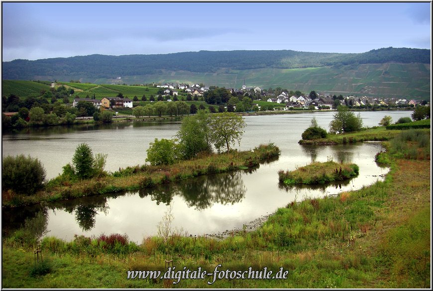 Mosel_Die_Fotoschule_021.jpg - So schön ist die Mosel bei Piesport