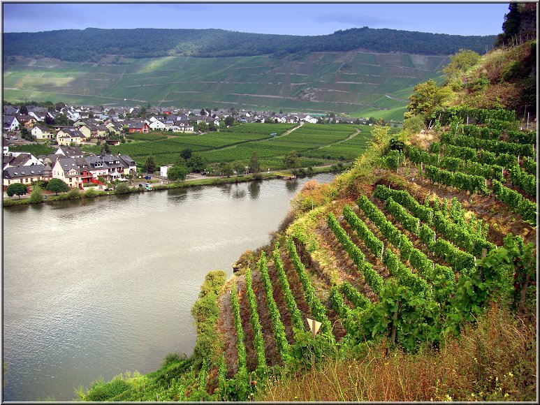 Mosel_Die_Fotoschule_029.jpg - Aufstieg zur Pestkapelle; hier gehts teilweise ganz schön steil bergab!