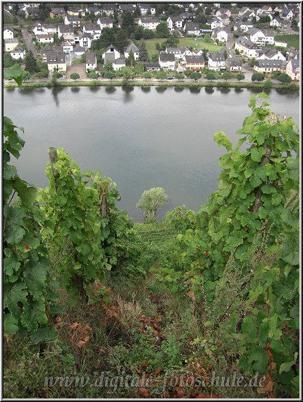 Mosel_Die_Fotoschule_030.jpg - Auf dem Foto kann man es nicht ganz so gut sehen, aber hier gehts ordentlich runter....