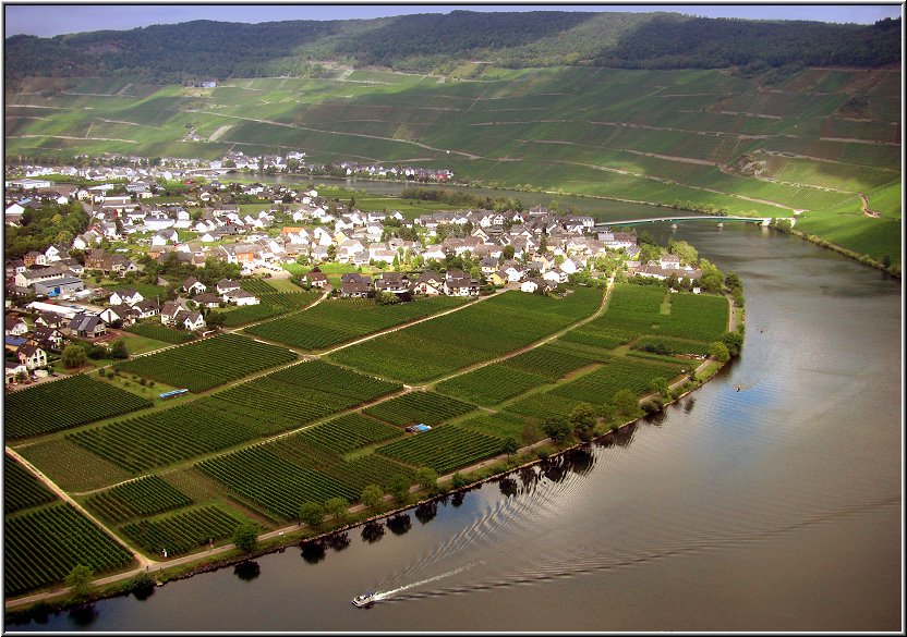 Mosel_Die_Fotoschule_038.jpg - Panoramablick nach Piesport