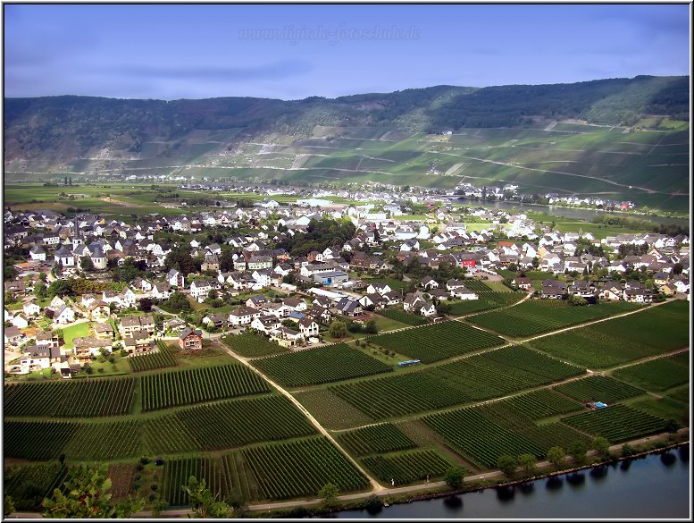 Mosel_Die_Fotoschule_039.jpg - Panoramablick nach Piesport
