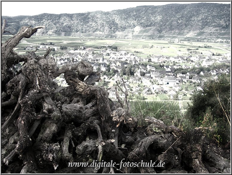 Mosel_Die_Fotoschule_042.jpg - Am Roemersteig