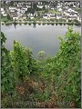 Mosel_Die_Fotoschule_030