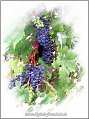 Mosel_Die_Fotoschule_035