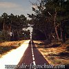 Waldweg_Soulac