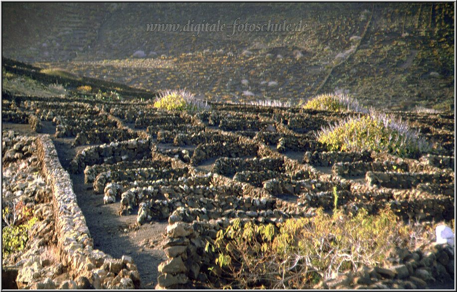 Lanzarote__016.jpg