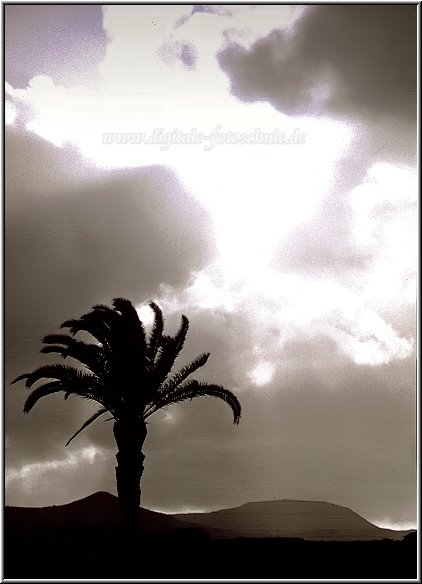Lanzarote__042.jpg