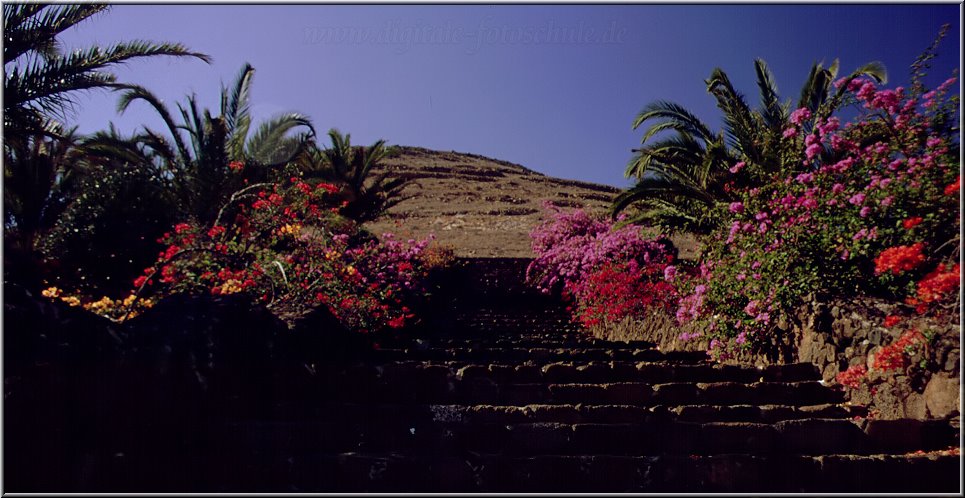 Lanzarote__057.jpg