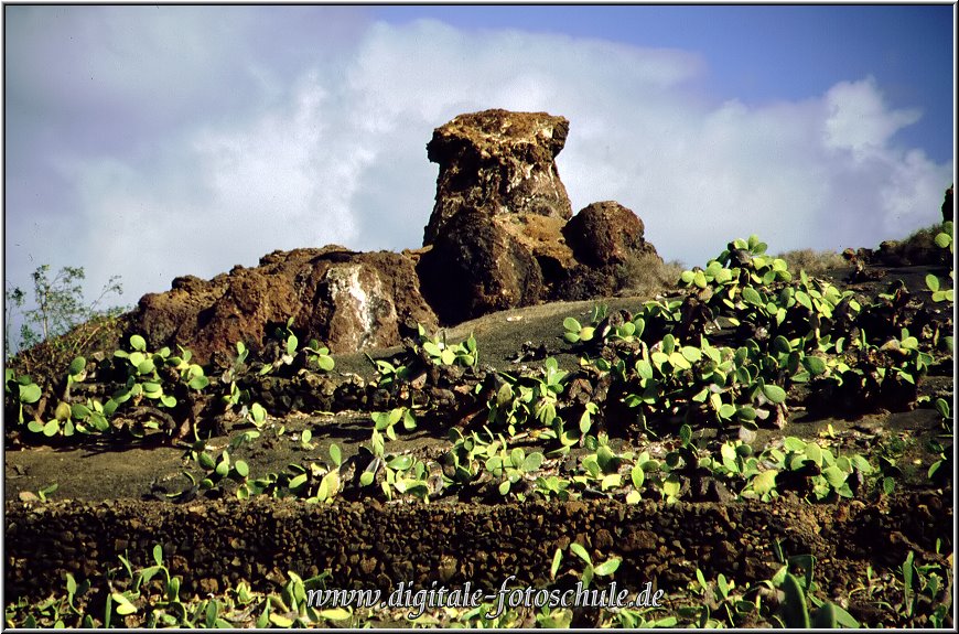 Lanzarote__081.jpg