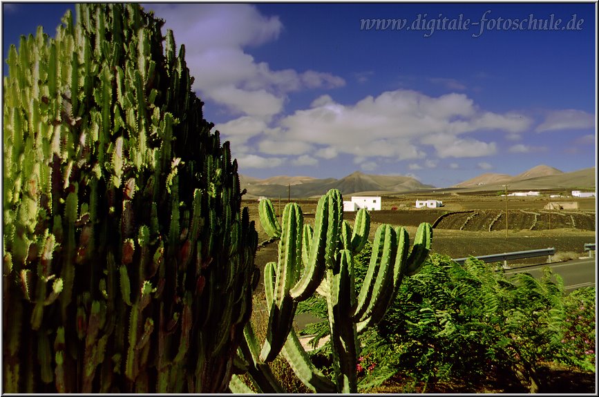 Lanzarote__089.jpg