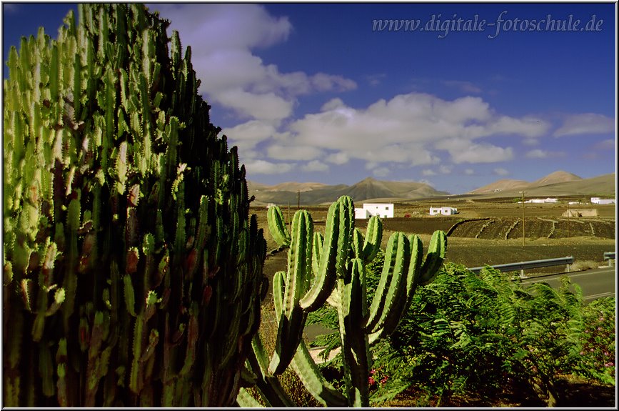 Lanzarote__089.jpg