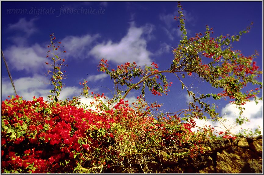 Lanzarote__094.jpg