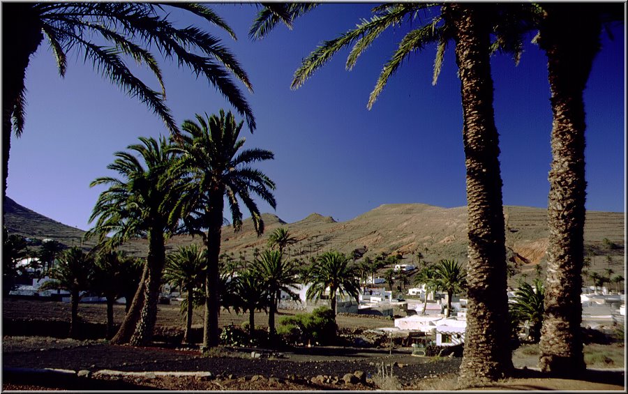 Lanzarote__118.jpg