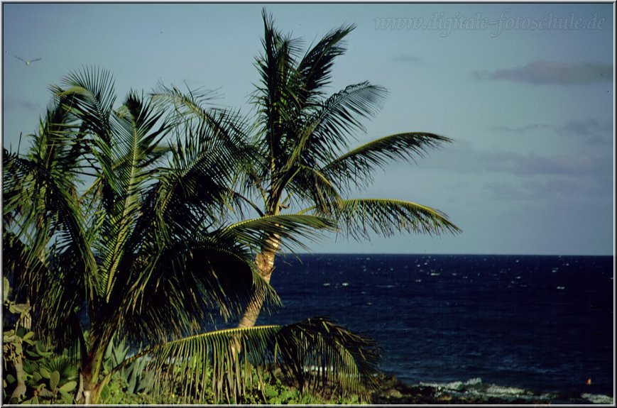 Lanzarote__129.jpg