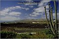 Lanzarote__088