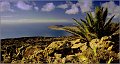 Lanzarote__121