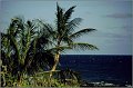 Lanzarote__129