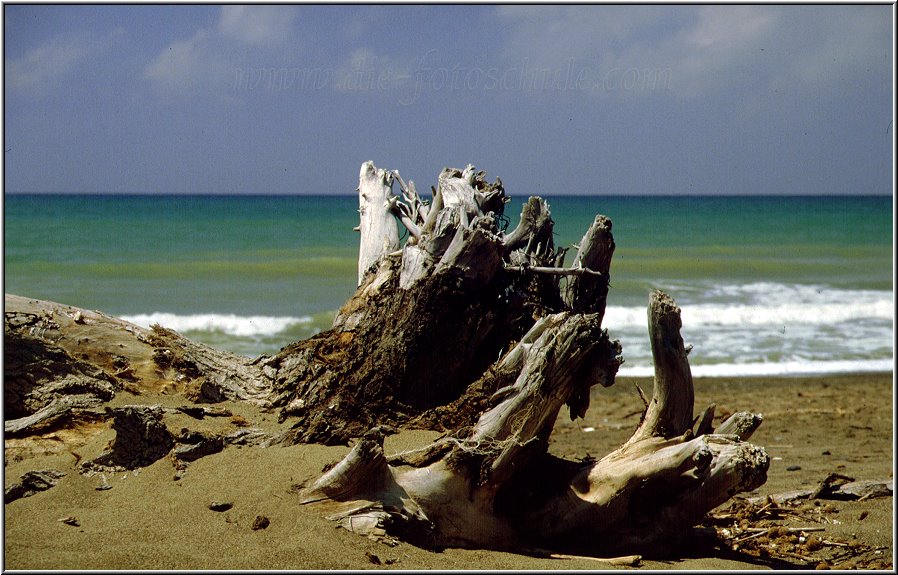 Donoratico3.jpg - Am Strand der Toscana bei Donoratico 1988