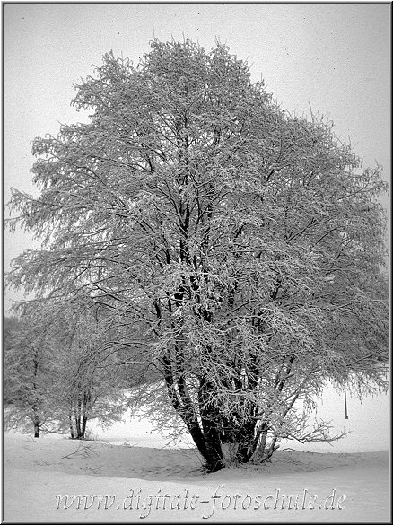 Gstaad18.jpg - Winter 1978 in Schwerte