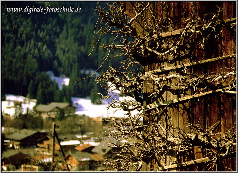 Gstaad3.jpg - In Gstaad Schweiz 1989