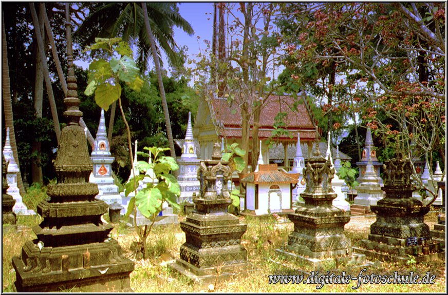Koh_Samui019.jpg - Auf Koh Samui Thailand 1998