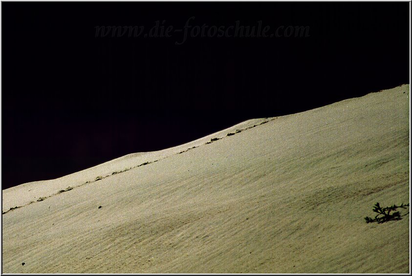 Mimizan11.jpg - Dune du Pilat Frankreich 1995
