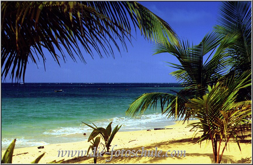 Samana_Karibik_046.jpg - Auf der wunderschönen Halbinsel Samana Karibik bei Las Terrenas 1996