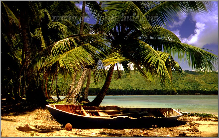Samana_Karibik_093.jpg - Auf der wunderschönen Halbinsel Samana in der Karibik an deri Playa Bonita 1996
