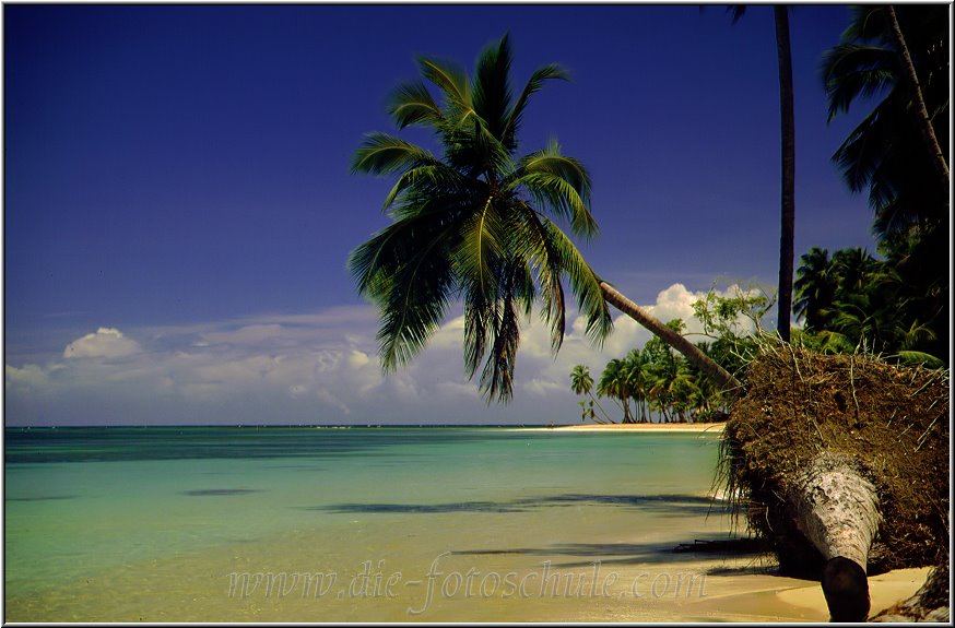 Samana_Karibik_095.jpg - Auf der wunderschönen Halbinsel Samana in der Karibik an deri Playa Bonita 1996