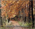 Herbst_Ergste_Fotoschule