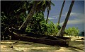 Samana_Karibik_081