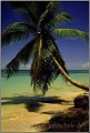 Samana_Karibik_082