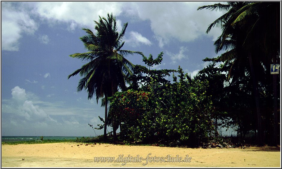 Samana_Karibik_033