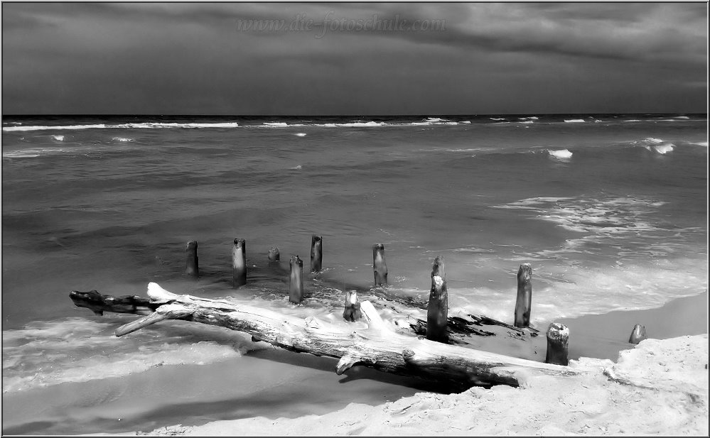 Ahrenshoop_2014_008sw.jpg - Impressionen in Schwarzweiß vom Weststrand