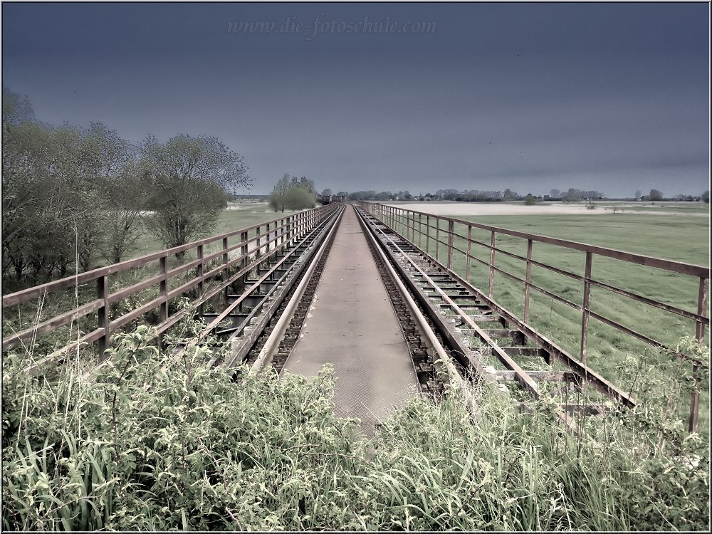 Gleise_Darss1.jpg - Die Überreste der Bahnlinie auf dem Radweg nach Barth.