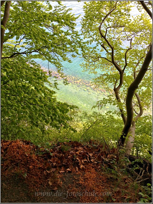 Kreidefelsen_0003.jpg - Von hoch oben siehst Du das Meer in der Tiefe schimmern.