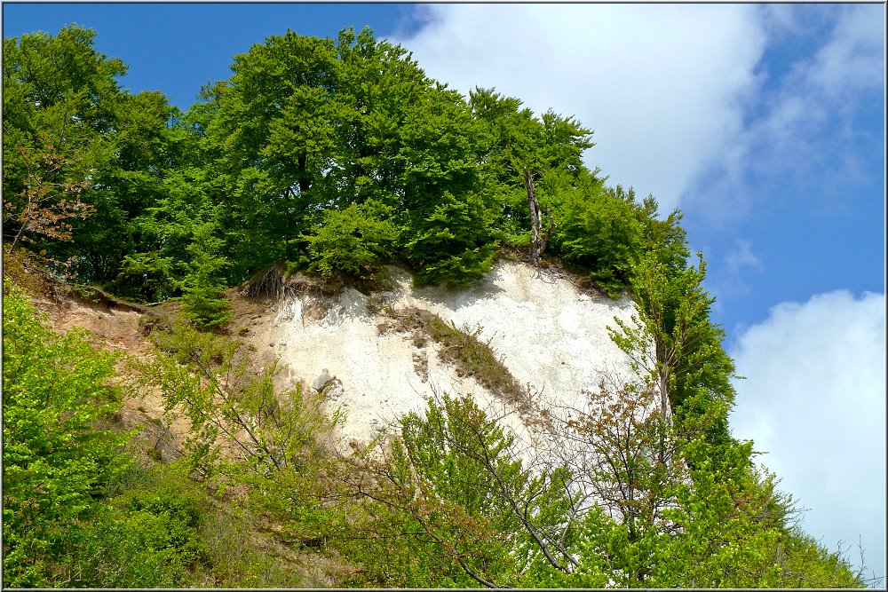 Kreidefelsen_0008.jpg - Da oben ist der Wald, durch den ich zuvor gewandert bin.