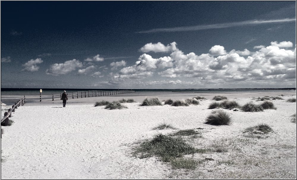 Nothafen_2014_004.jpg - Hier oben, am Ende des Prerower Nordstrandes ist der Strand superbreit und herrlich schön. Hier spürst Du die die Weite von Land und Meer.