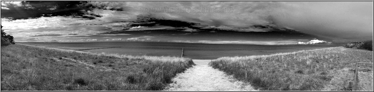 Prerow_2014_004sw.jpg - Blick von der Hohen Düne in Prerow, Panorama