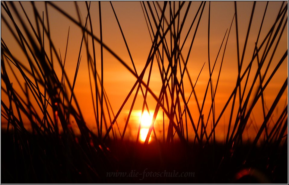 Sonnenuntergang_Seebruecke_Zingst_2.jpg - Dieselbe Szene mit Strandgras im Vordergrund.