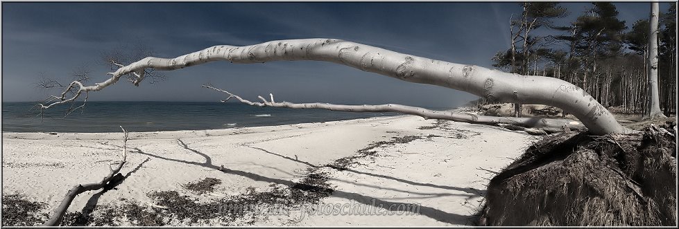 Weststrand_00010.jpg - Eine moderne Naturliege zum Bräunen am Weststrand, eignet sich auch prima als Naturstativ!