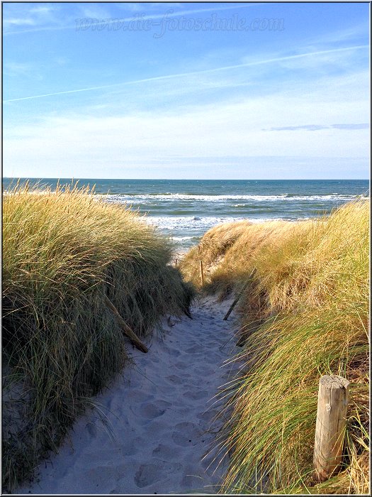 Weststrand_2013_H001.jpg - Ja da geht der Puls hoch. Nach einem langen Marsch durch den Darsswald gehts über einen Dünengürtel zum Weststrand. Einer der schönsten Momente überhaupt